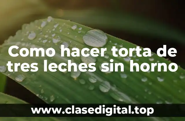 Torta de tres leches sin horno, una delicia latina