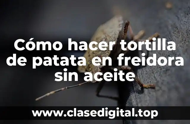 Cómo hacer tortilla de patata en freidora sin aceite