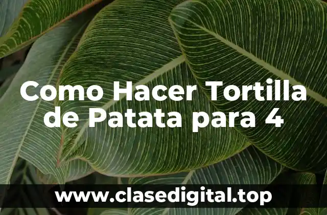 Como Hacer Tortilla de Patata para 4