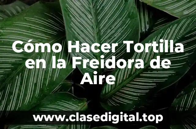 Cómo Hacer Tortilla en la Freidora de Aire