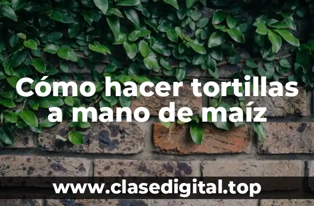 Cómo hacer tortillas a mano de maíz