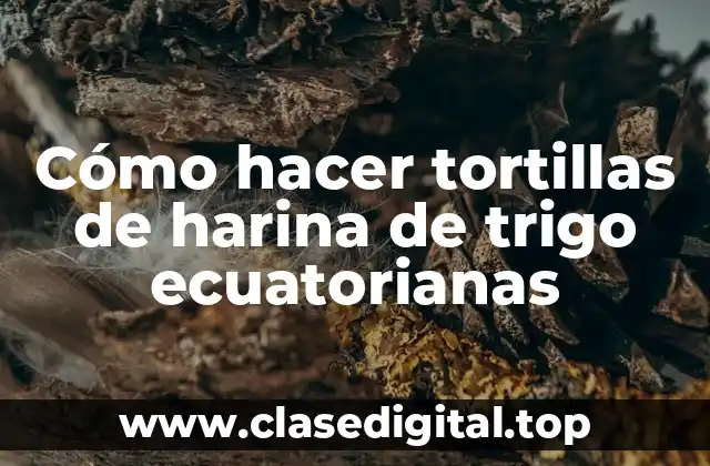 Cómo hacer tortillas de harina de trigo ecuatorianas