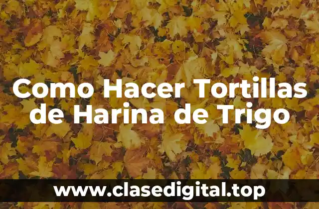 Tortillas de Harina de Trigo: ¿Qué Son y para Qué Sirven?