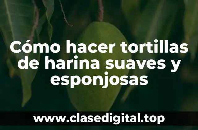 Tortillas de harina suaves y esponjosas: qué son y para qué sirven