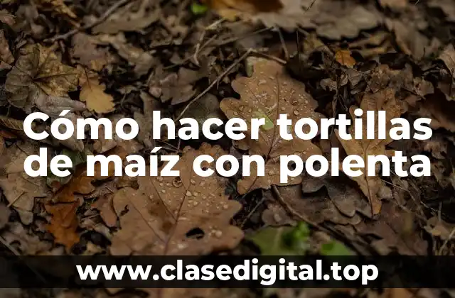 Cómo hacer tortillas de maíz con polenta