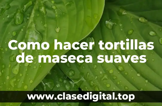 Como hacer tortillas de maseca suaves