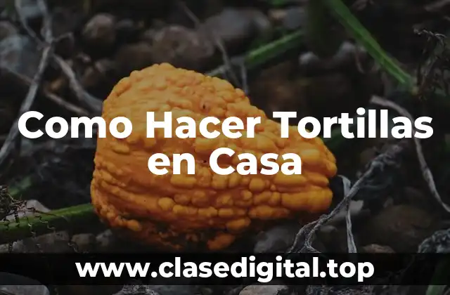 Como Hacer Tortillas en Casa