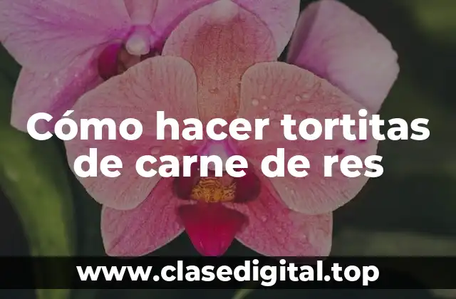 Cómo hacer tortitas de carne de res