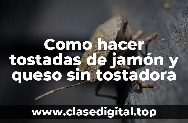 Como hacer tostadas de jamón y queso sin tostadora