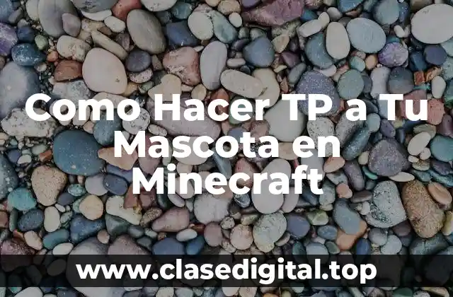Como Hacer TP a Tu Mascota en Minecraft