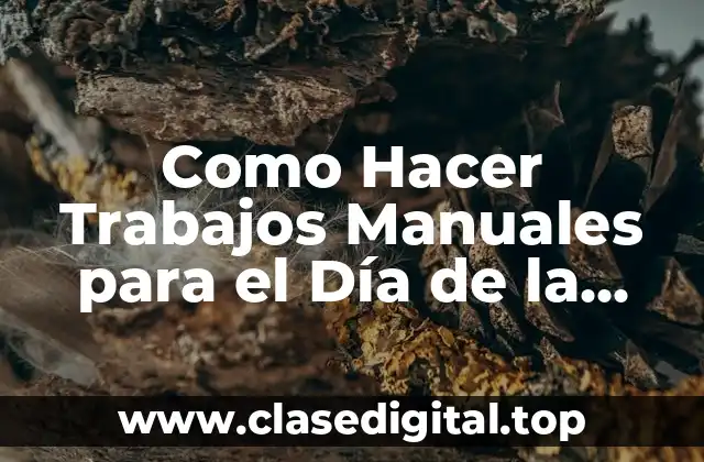 Como Hacer Trabajos Manuales para el Día de la Madre