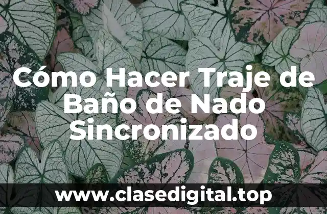 Cómo Hacer Traje de Baño de Nado Sincronizado