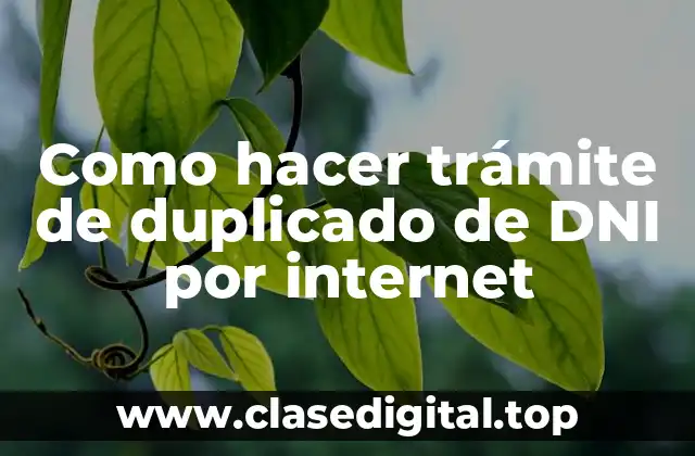 Como hacer trámite de duplicado de DNI por internet