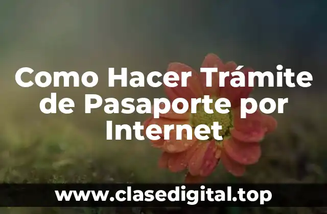 ¿Qué es el Trámite de Pasaporte por Internet?