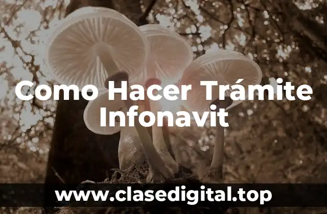 Como Hacer Trámite Infonavit