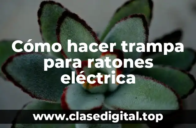 Cómo hacer trampa para ratones eléctrica