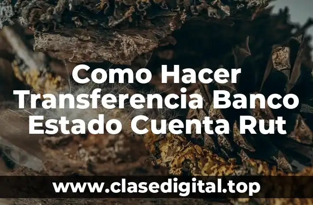Como Hacer Transferencia Banco Estado Cuenta Rut