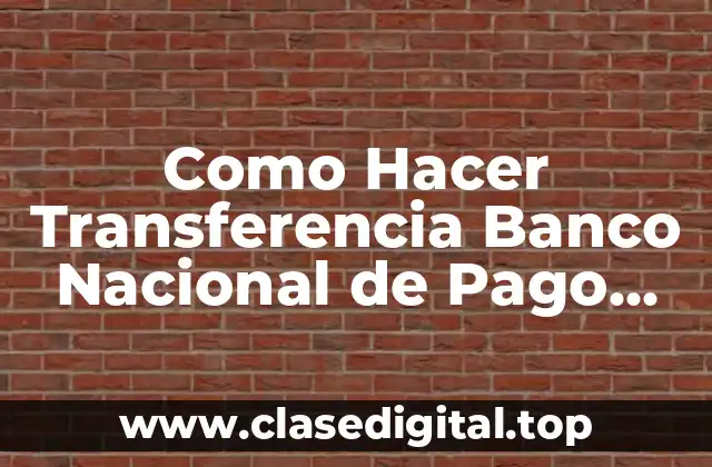 Como Hacer Transferencia Banco Nacional de Pago Móvil