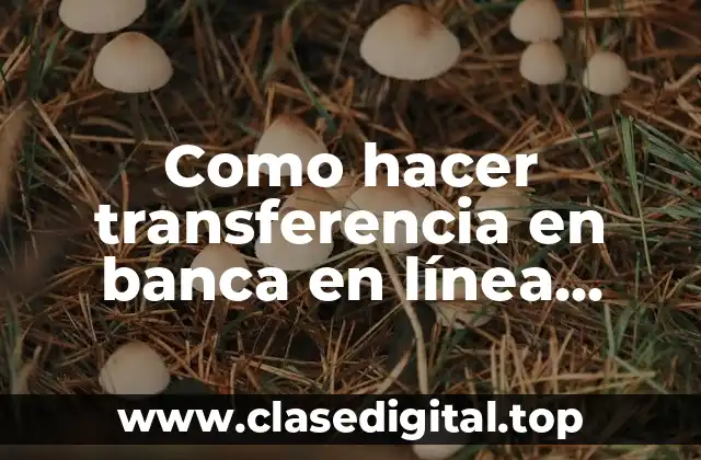 ¿Qué es una transferencia en banca en línea Banco Nacional?