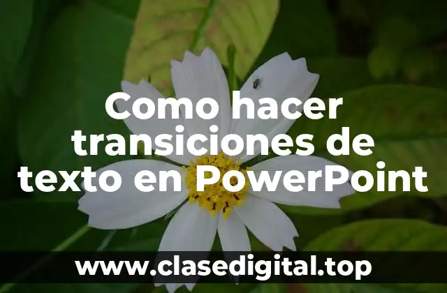 ¿Qué son las transiciones de texto en PowerPoint?