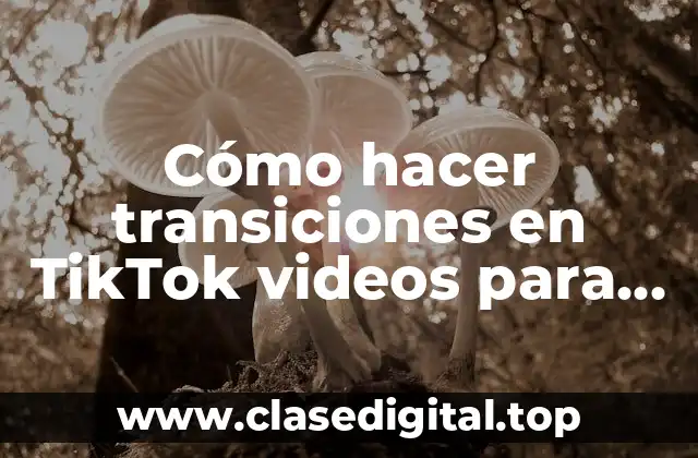 Cómo hacer transiciones en TikTok videos para descargar