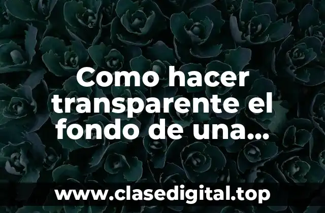 Qué es la transparencia de fondo de una imagen en AutoCAD