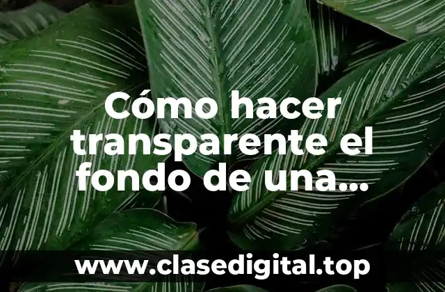 Cómo hacer transparente el fondo de una imagen PNG