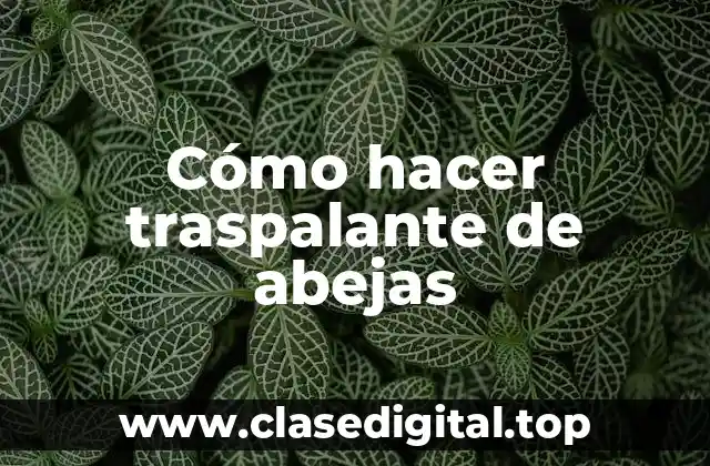 Cómo hacer traspalante de abejas