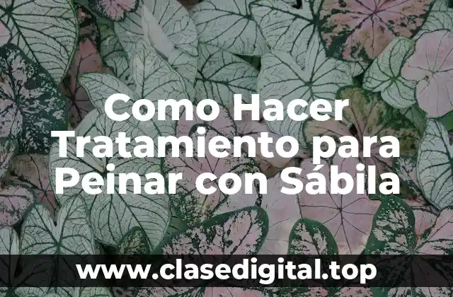 Como Hacer Tratamiento para Peinar con Sábila