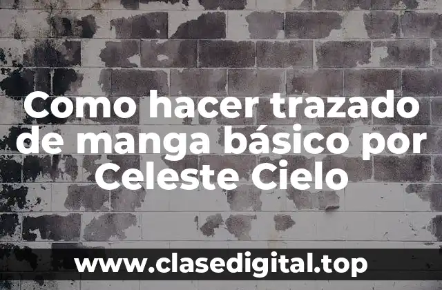 Como hacer trazado de manga básico por Celeste Cielo