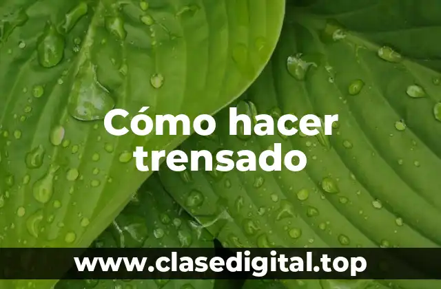 Cómo hacer trensado