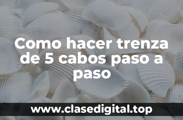 Como hacer trenza de 5 cabos paso a paso
