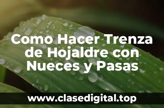Como Hacer Trenza de Hojaldre con Nueces y Pasas