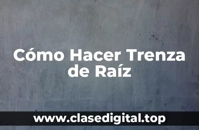 Cómo Hacer Trenza de Raíz