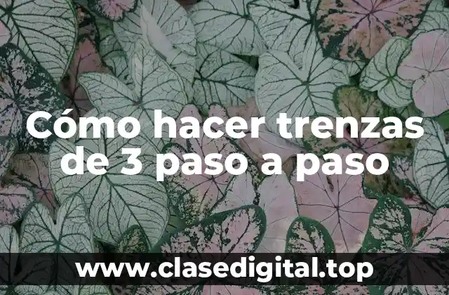 Cómo hacer trenzas de 3 paso a paso
