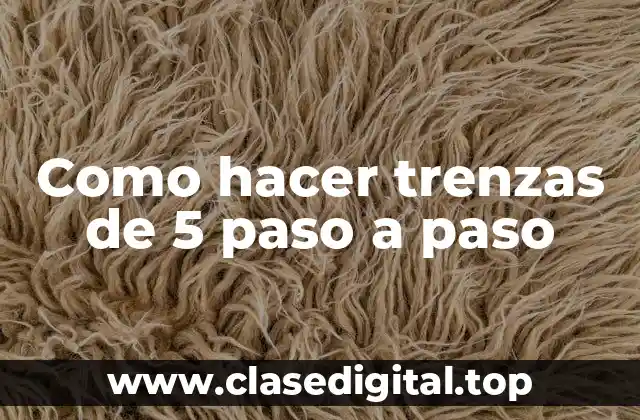 Como hacer trenzas de 5 paso a paso