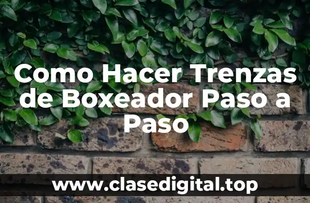 Como Hacer Trenzas de Boxeador Paso a Paso