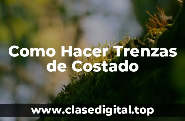 ¿Qué son las Trenzas de Costado?