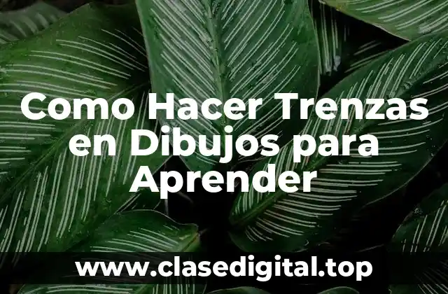Como Hacer Trenzas en Dibujos para Aprender