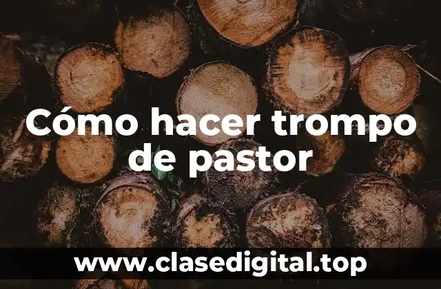 Cómo hacer trompo de pastor