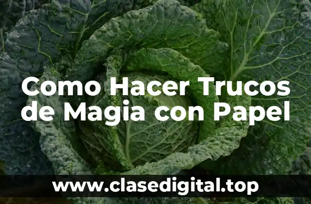 ¿Qué son los Trucos de Magia con Papel?