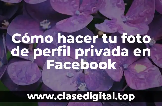 Cómo hacer tu foto de perfil privada en Facebook