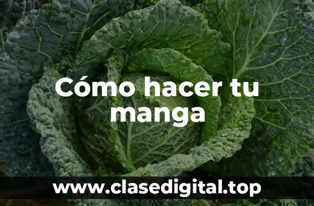 Cómo hacer tu manga