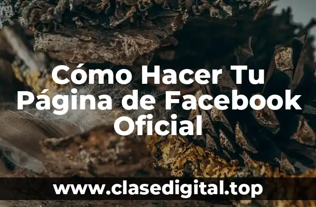 Cómo Hacer Tu Página de Facebook Oficial