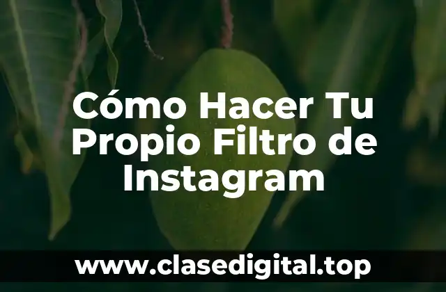 ¿Qué es un Filtro de Instagram y Cómo se Usa?