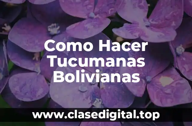Como Hacer Tucumanas Bolivianas