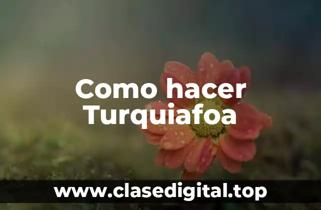 Como hacer Turquiafoa