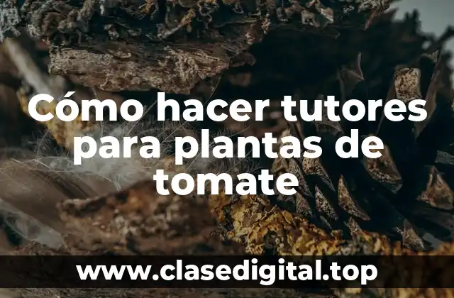 Cómo hacer tutores para plantas de tomate