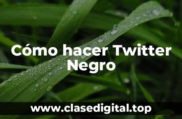 ¿Qué es un tema negro en Twitter y para qué sirve?