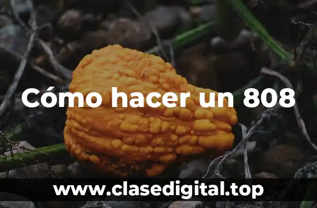 Cómo hacer un 808